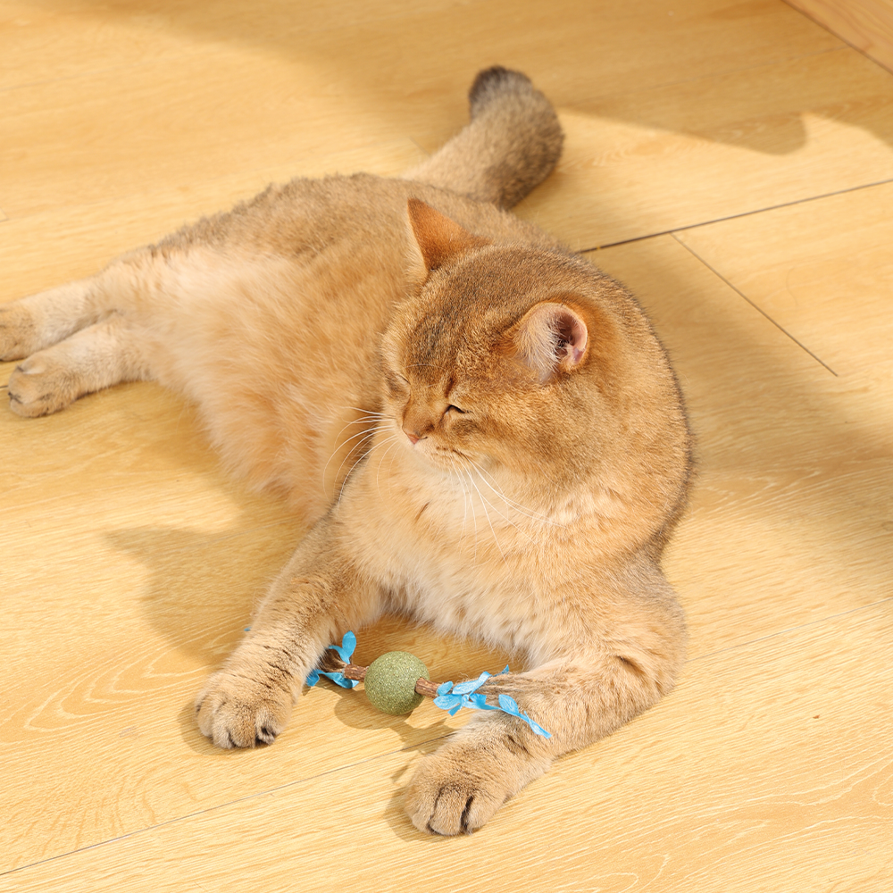 M-PETS Charmy Branch Blue Catnip Cat Toy
