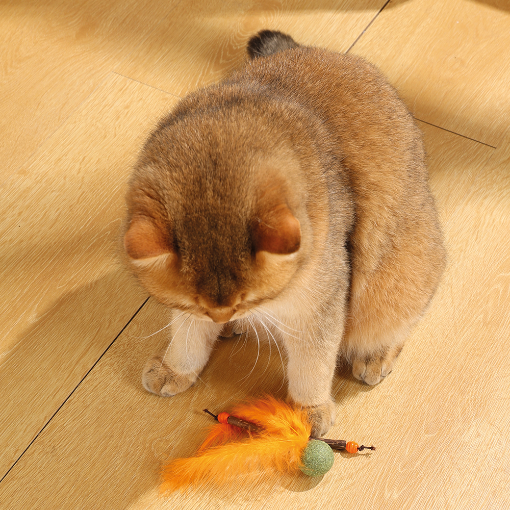 M-PETS Charmy Bugbear Orange Catnip Cat Toy