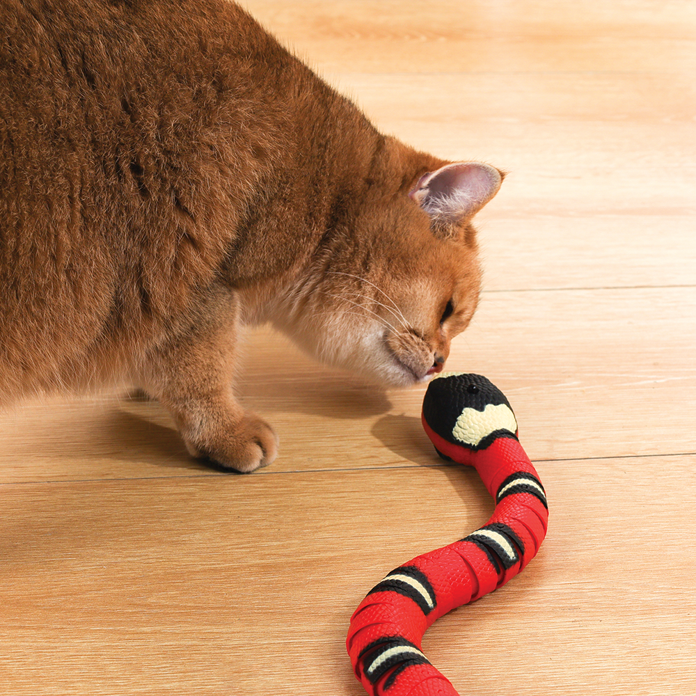 M-PETS Sneaky Snake Cat Toy
