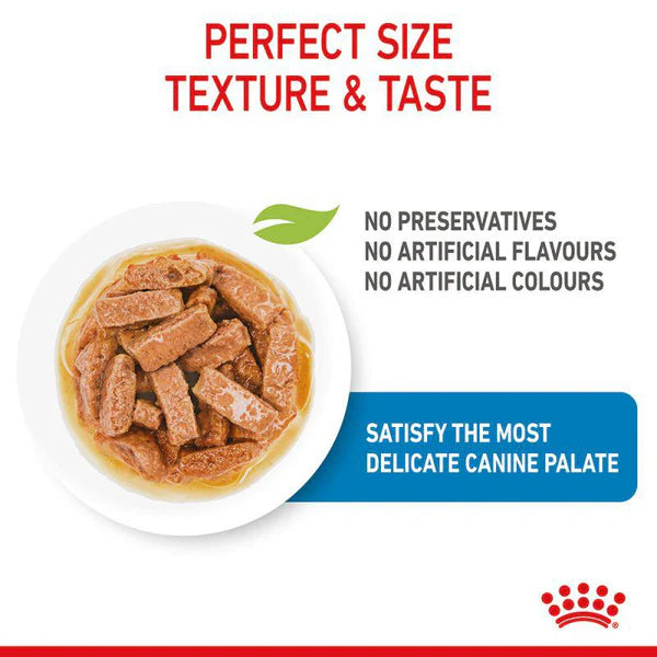 Royal Canin Size Health Nutrition Maxi Puppy (WET FOOD - Pouches)