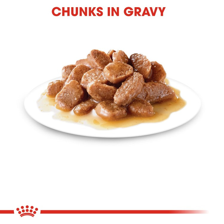 Royal Canin Feline Care Nutrition Digest Sensitive Gravy (WET FOOD - Pouches) 12 x 85g