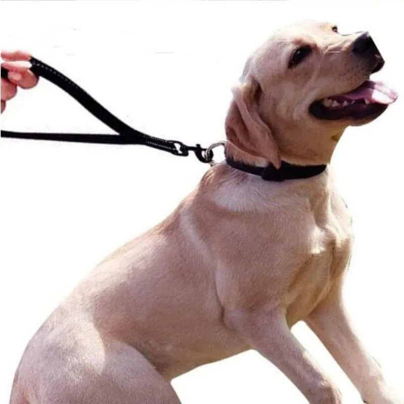 Dog Leash Waterproof