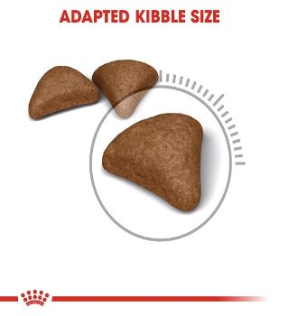 Royal Canin Hairball Care Adult Dry Cat Food