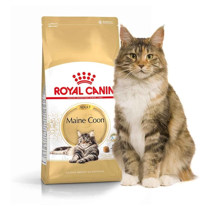 Royal Canin Maine Coon Adult Dry Cat Food 2 Kg