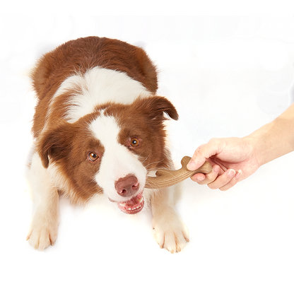 FOFOS Woodplay Antler Dog Toy