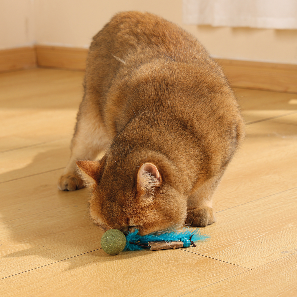 M-PETS Charmy Bugbear Blue Catnip Cat Toy