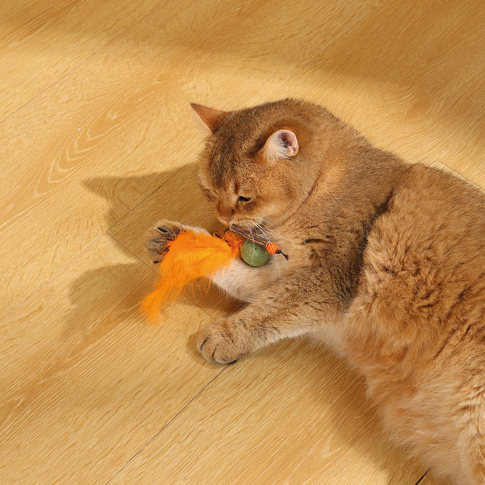 M-PETS Charmy Bugbear Orange Catnip Cat Toy