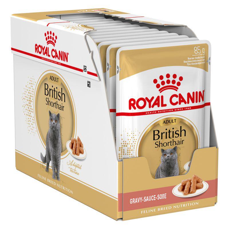 Royal Canin Feline Breed Nutrition British Shorthair (WET FOOD - Pouches)