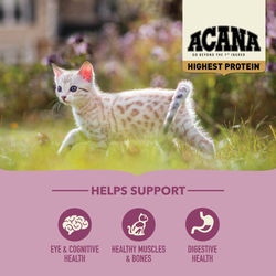 Acana Highest Protein Grain-Free Complete Kitten Dry Food 1.8kg