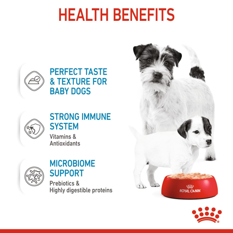 Royal Canin -Canine Health Nutrition Starter Mousse (WET FOOD - Cans)12 x 195g