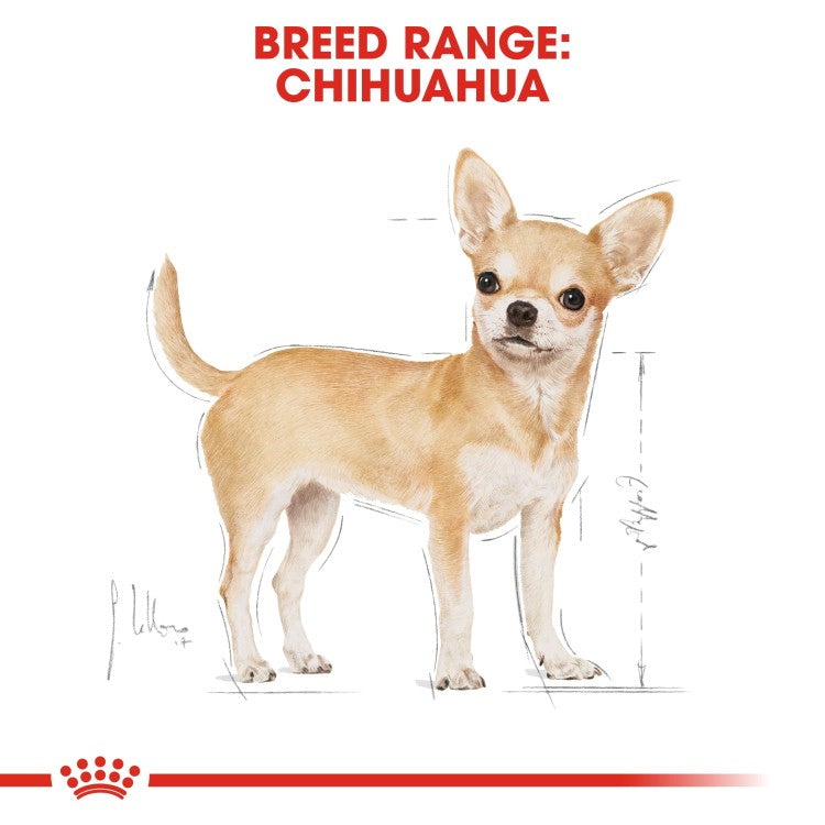 Royal Canin Breed Health Nutrition Chihuahua Adult 1.5 KG