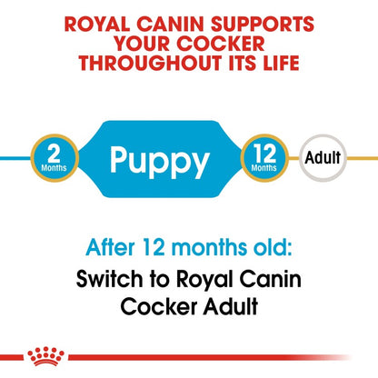 Royal Canin Breed Health Nutrition Cocker Puppy 3 KG