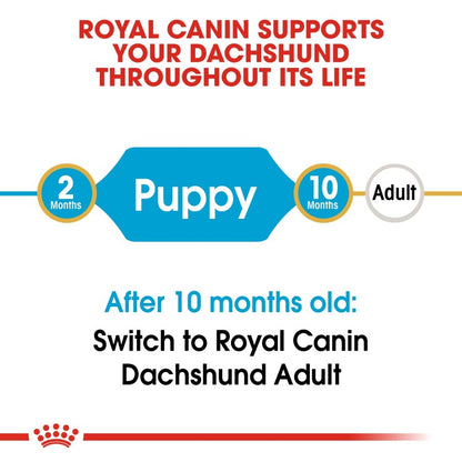 Royal Canin Breed Health Nutrition Dachshund Puppy 1.5 KG