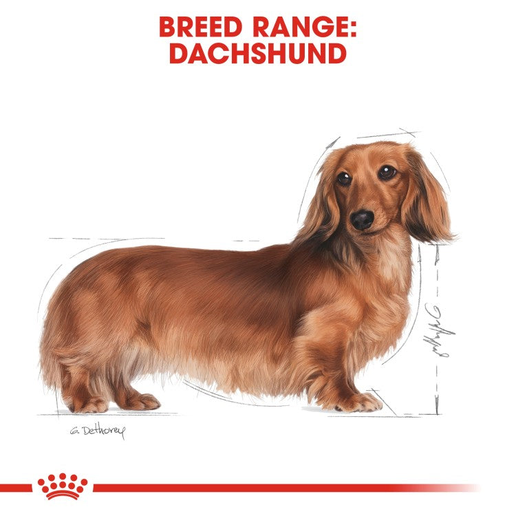 Royal Canin Breed Health Nutrition Dachshund Adult 1.5 KG