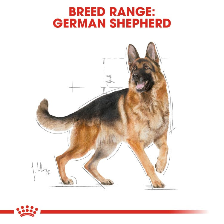 Royal Canin Breed Health Nutrition German Shepherd Adult