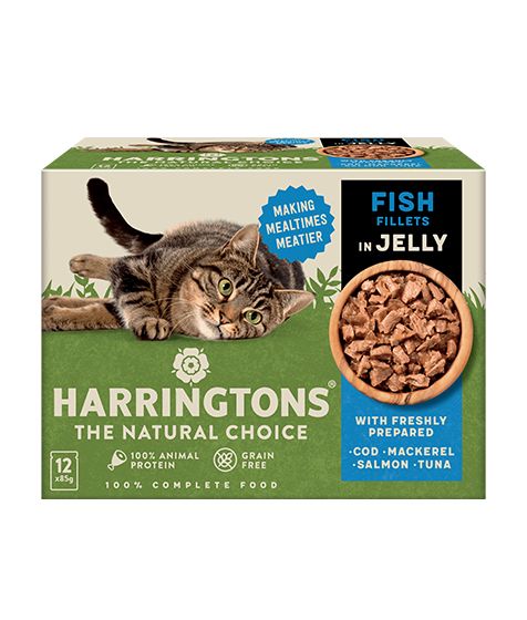 Harringtons Fish in Jelly Wet Cat Food Multipack (12×85g)