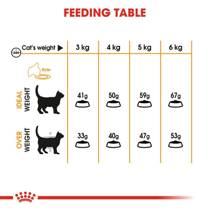 Royal Canin Feline Care Nutrition Hair & Skin