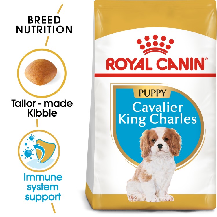 Royal Canin Breed Health Nutrition Cavalier King Charles Puppy 1.5 KG