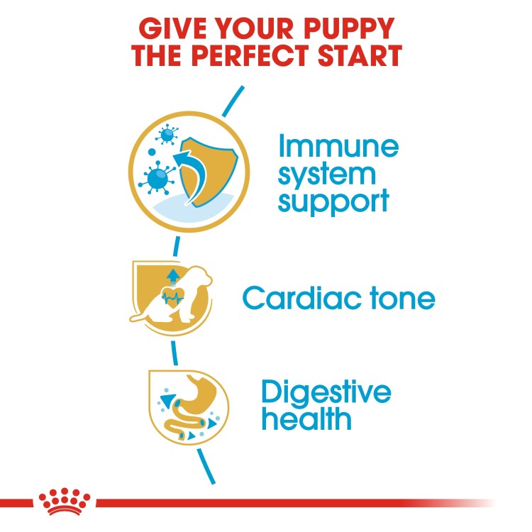 Royal Canin Breed Health Nutrition Cavalier King Charles Puppy 1.5 KG