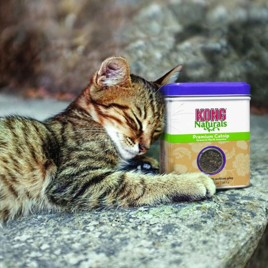 Kong Naturals Cat Premium Catnip