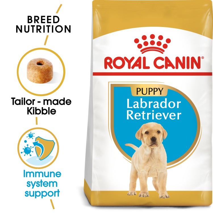 Royal Canin Breed Health Nutrition Labrador Puppy