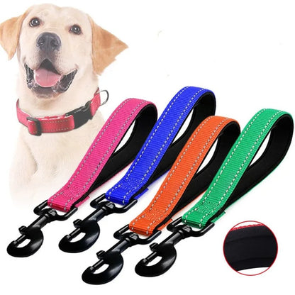 Dog Leash Waterproof