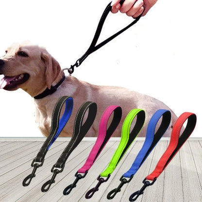 Dog Leash Waterproof