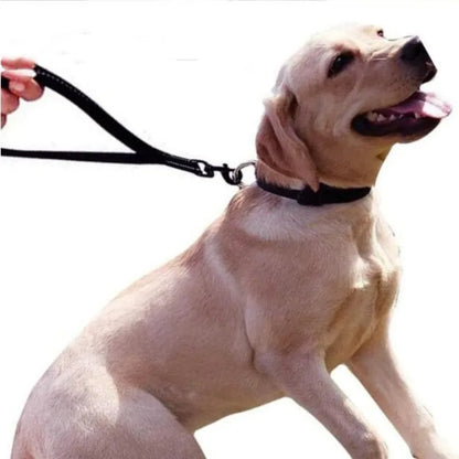 Dog Leash Waterproof