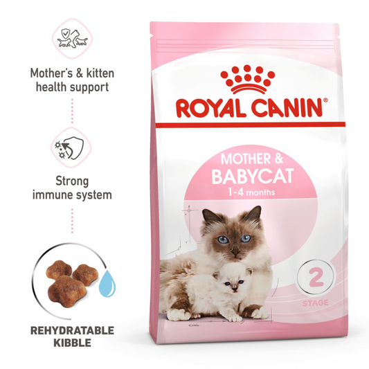 Feline Health Nutrition Mother and Babycat