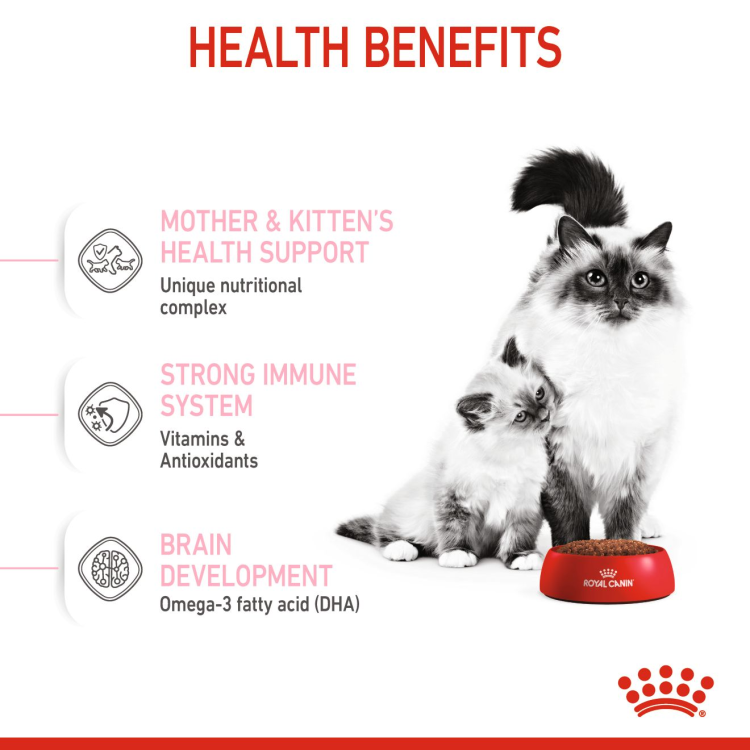 Feline Health Nutrition Mother and Babycat