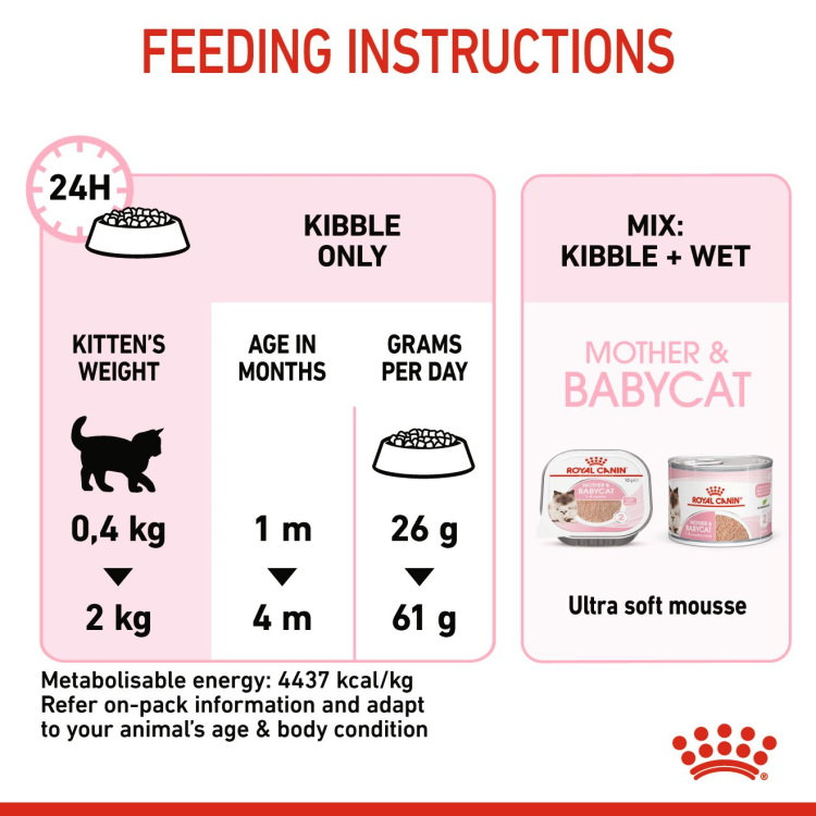 Feline Health Nutrition Mother and Babycat