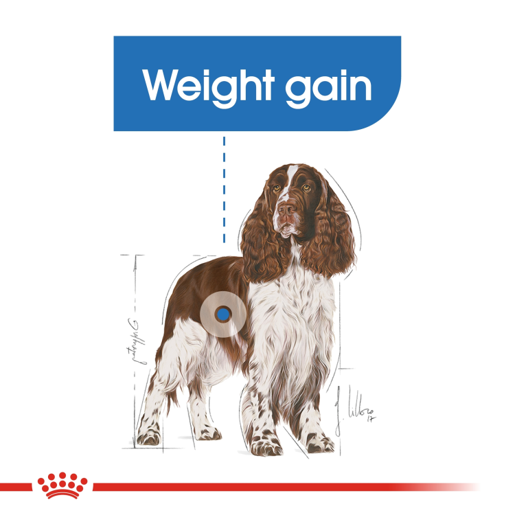 Royal Canin -Canine Care Nutrition Medium Light Weight Care