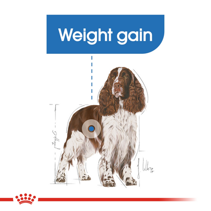 Royal Canin -Canine Care Nutrition Medium Light Weight Care