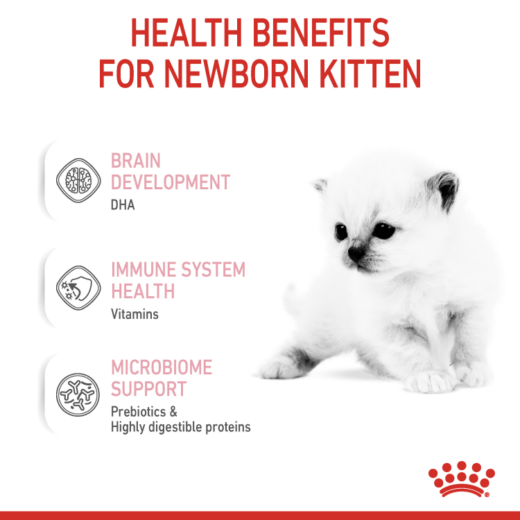 Feline Health Nutrition Babycat Milk 300 g