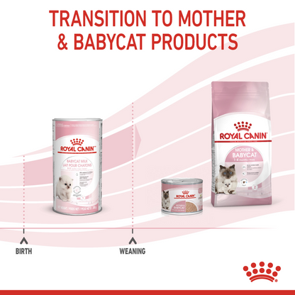 Feline Health Nutrition Babycat Milk 300 g