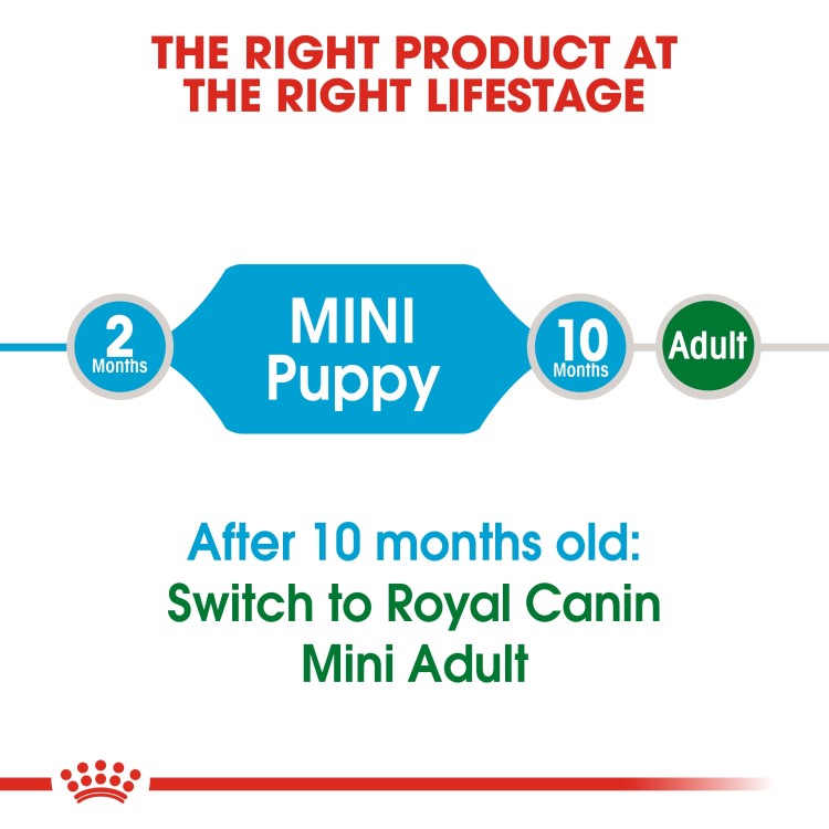 Royal Canin Size Health Nutrition Mini Puppy Dry Food