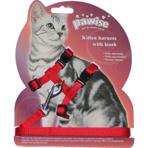 Pawise Kitten Harness with Leash Asst Colors