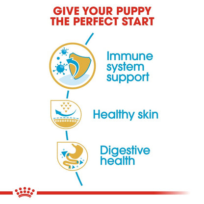 Royal Canin Breed Health Nutrition Pug Puppy 1.5 KG