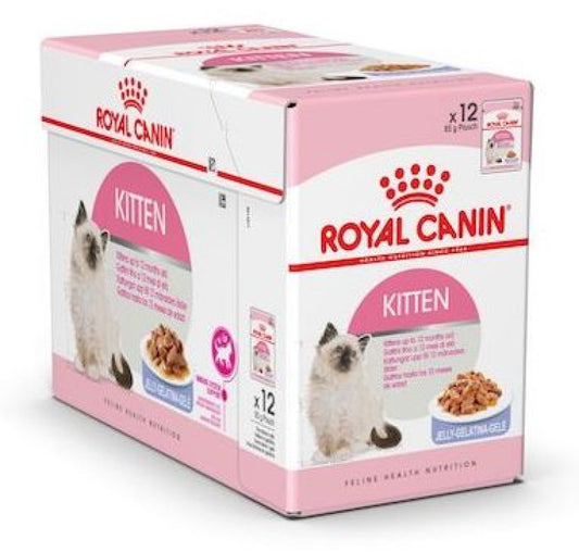 Royal Canin Feline Health Nutrition Kitten Jelly (WET FOOD - Pouches)