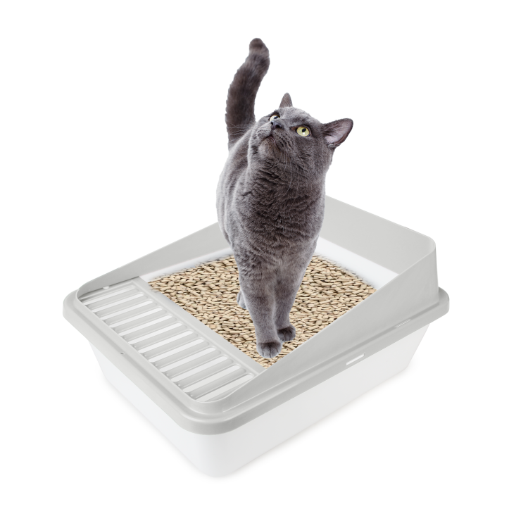 Go Fresh - High Back Cat Litter Box Large