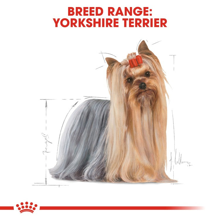 Royal Canin Breed Health Nutrition Yorkshire Adult 1.5KG